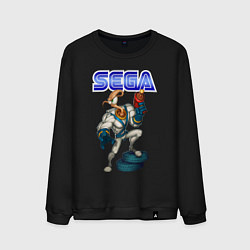 Свитшот хлопковый мужской SEGA - Jim, цвет: черный