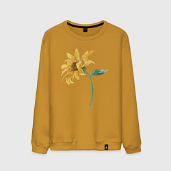 Мужской свитшот Branch With a Sunflower Подсолнух