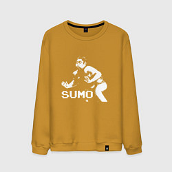 Мужской свитшот Sumo pixel art