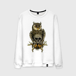 Свитшот хлопковый мужской Сова с черепом на животе, цвет: белый
