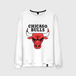Свитшот хлопковый мужской Chicago Bulls, цвет: белый