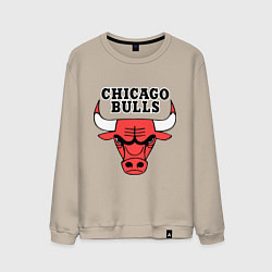 Свитшот хлопковый мужской Chicago Bulls, цвет: миндальный