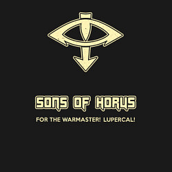 Свитшот хлопковый мужской Сыны Хоруса винтаж лого, цвет: черный — фото 2