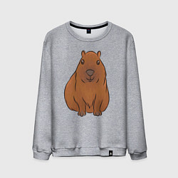 Свитшот хлопковый мужской Капибара сидит и радуется, цвет: меланж