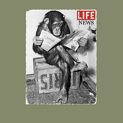 Свитшот хлопковый мужской LIFE NEWS:monkeys, цвет: авокадо — фото 2