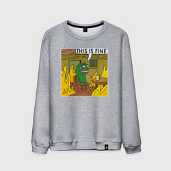 Свитшот хлопковый мужской Пепе Лягушонок в беде, цвет: меланж