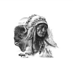 Свитшот хлопковый мужской Chief of the Indian tribe, цвет: белый — фото 2