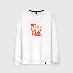 Свитшот хлопковый мужской Circus Stray Kids, цвет: белый