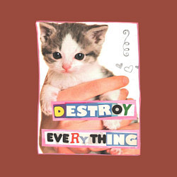 Свитшот хлопковый мужской Destroy everything kitty, цвет: кирпичный — фото 2