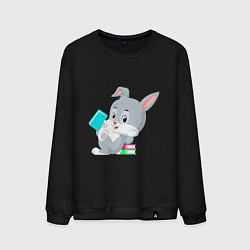 Свитшот хлопковый мужской Кролик с книгами, цвет: черный