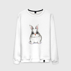 Свитшот хлопковый мужской Милый белый кролик, цвет: белый