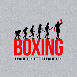 Свитшот хлопковый мужской Boxing evolution, цвет: меланж — фото 2