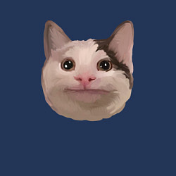 Свитшот хлопковый мужской Polite cat meme, цвет: тёмно-синий — фото 2