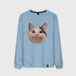Свитшот хлопковый мужской Polite cat meme, цвет: мягкое небо