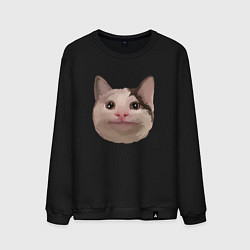 Свитшот хлопковый мужской Polite cat meme, цвет: черный