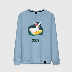 Свитшот хлопковый мужской Кролик 2023, цвет: мягкое небо