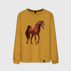 Свитшот хлопковый мужской Тракененская лошадь, цвет: горчичный