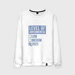 Свитшот хлопковый мужской Level 2023, цвет: белый