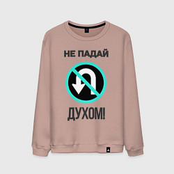 Мужской свитшот Не падай духом!