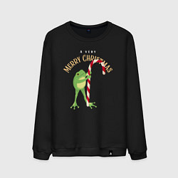Свитшот хлопковый мужской Merry christmas from a frog, цвет: черный