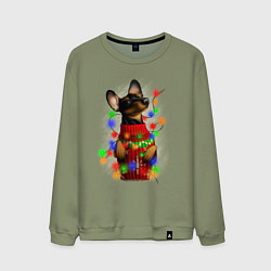 Свитшот хлопковый мужской Новогодняя такса, цвет: авокадо