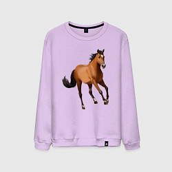 Свитшот хлопковый мужской Мустанг лошадь, цвет: лаванда