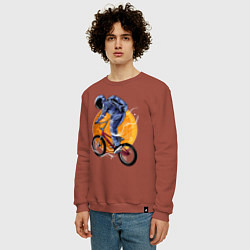 Свитшот хлопковый мужской Space rider, цвет: кирпичный — фото 2