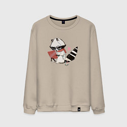 Мужской свитшот Умный крошка-енот