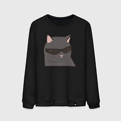 Свитшот хлопковый мужской Серый котик в очках, цвет: черный