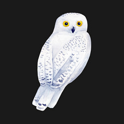 Свитшот хлопковый мужской Белая полярная сова, цвет: черный — фото 2