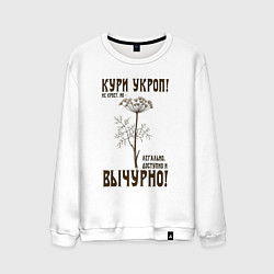 Свитшот хлопковый мужской Кури укроп, цвет: белый