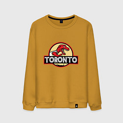 Мужской свитшот Toronto dinosaur