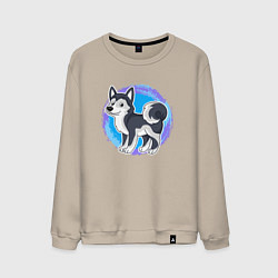 Свитшот хлопковый мужской Мультяшный пёс хаски, цвет: миндальный