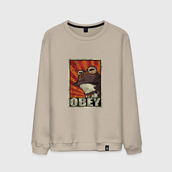 Свитшот хлопковый мужской Obey frog, цвет: миндальный