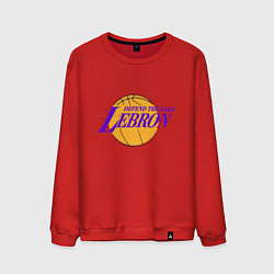 Мужской свитшот Defend the lake Lebron