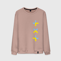 Мужской свитшот TXT vertical logo