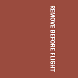 Свитшот хлопковый мужской Remove before flight, цвет: кирпичный — фото 2