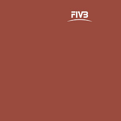 Свитшот хлопковый мужской Международная федерация волейбола FIVB, цвет: кирпичный — фото 2
