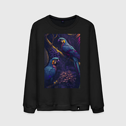 Свитшот хлопковый мужской Разноцветные попугаи, цвет: черный