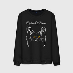 Свитшот хлопковый мужской Children of Bodom rock cat, цвет: черный