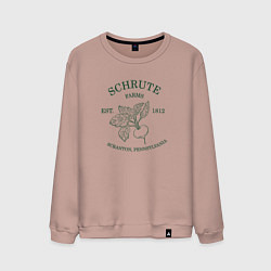 Свитшот хлопковый мужской Ферма Шрутов, цвет: пыльно-розовый