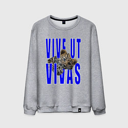 Свитшот хлопковый мужской Vive ut vivas, цвет: меланж