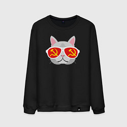 Свитшот хлопковый мужской Котик СССР, цвет: черный