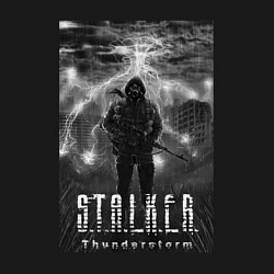 Свитшот хлопковый мужской Stalker thunderstorm, цвет: черный — фото 2
