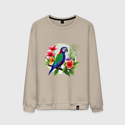 Свитшот хлопковый мужской Попугай среди цветов, цвет: миндальный