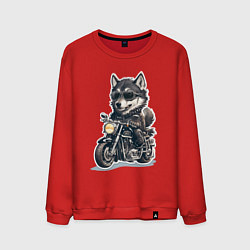 Свитшот хлопковый мужской Волчья сила на двух колесах, цвет: красный