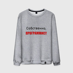 Свитшот хлопковый мужской Собственно, программист, цвет: меланж