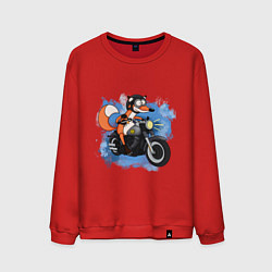 Свитшот хлопковый мужской Лис на мотоцикле, цвет: красный