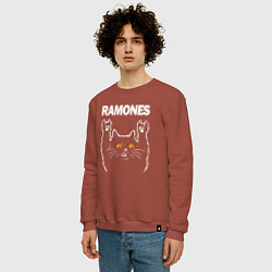 Свитшот хлопковый мужской Ramones rock cat, цвет: кирпичный — фото 2