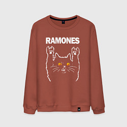 Свитшот хлопковый мужской Ramones rock cat, цвет: кирпичный